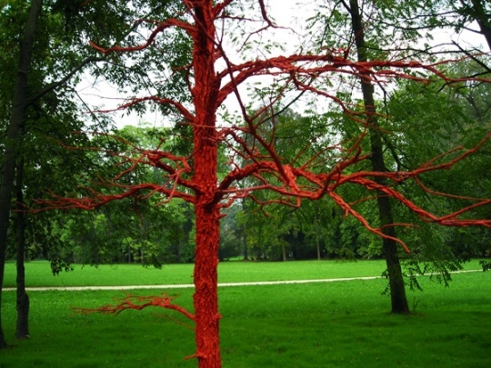 albero rosso 2006