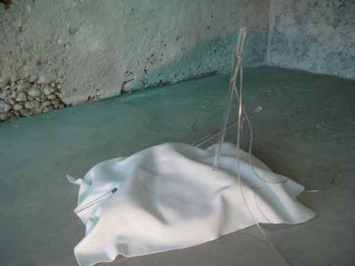 Laura Ambrosi Installazione Agoni-a 2003